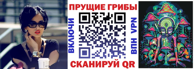 Псилоцибиновые грибы MAGIC MUSHROOMS  где купить   Купино 